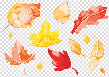 Assorted leaves , Autumn Leaves Watercolor painting Leaf, watercolor leaves transparent background PNG clipart