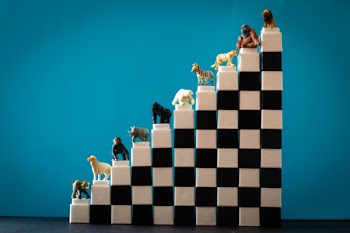 Assorted Pack of Dogs Table Decor