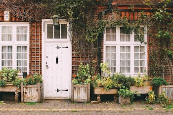 assorted plants in front of house
