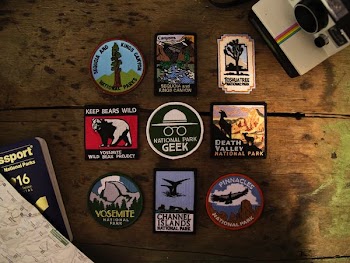 assorted posters on wooden surface