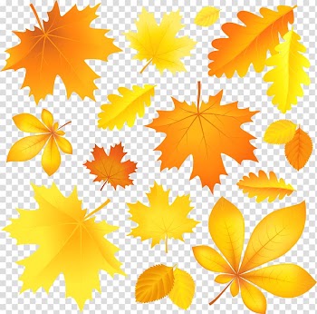 Assorted-shape leaves , Autumn leaf color , Fall Leaves transparent background PNG clipart
