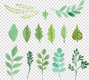 Assorted-shape leaves illustration, Watercolor painting Leaf, Watercolor green leaves material transparent background PNG clipart
