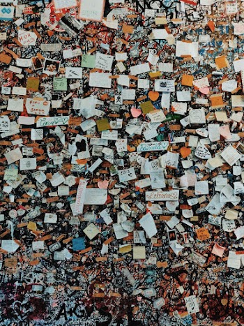 Assorted Sticky Note on Wall