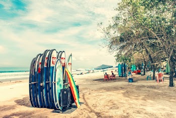 Assorted Surfboards 