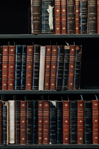 assorted-title book lot