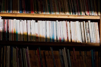Assorted Title Books on Wooden Shelf