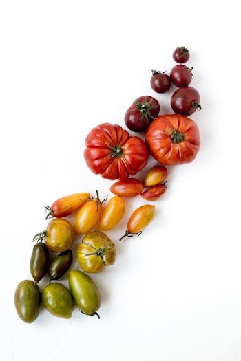 assorted-type of vegetables