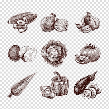 Assorted vegetable illustration, Organic food Vegetable Drawing Sketch, melon fruit transparent background PNG clipart