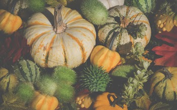 Assorted Vegetables And Fruits 
