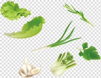 Assorted vegetables collage, Leaf vegetable u7dd1u9ec4u8272u91ceu83dc Salad, green vegetables lettuce parsley garlic transparent background PNG clipart