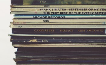Assorted Vinyl Sleeves