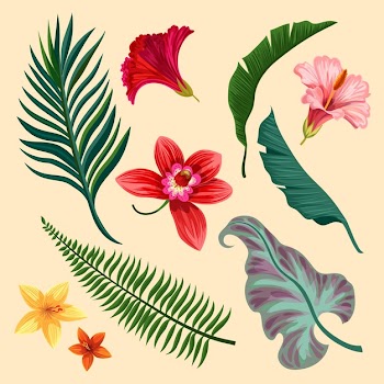 Assortment of tropical flowers and leaves Free Vector