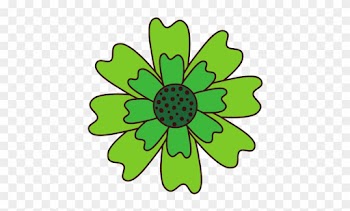 Aster Flower Natural Petal Decoration Image - Flower