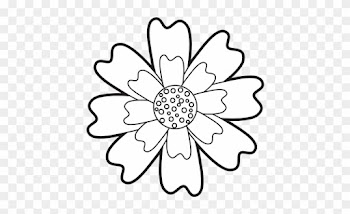 Aster Flower Natural Petal Decoration Image - Michael Gray Shazam Bio