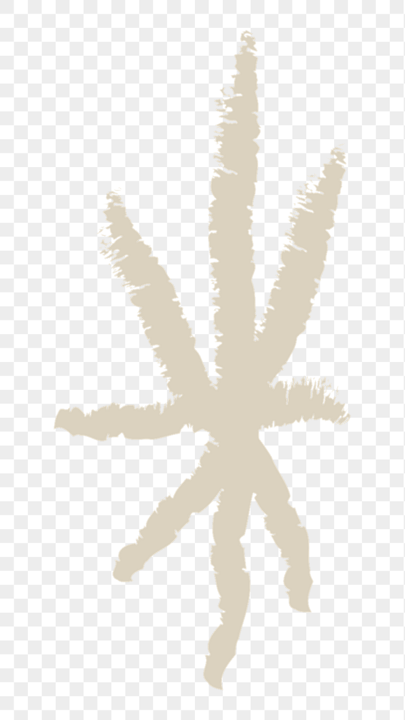 Asterisk png sticker, transparent background | Free PNG - rawpixel