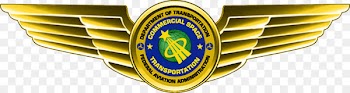Astronaut badge Federal Aviation Administration Commercial astronaut - pilot 