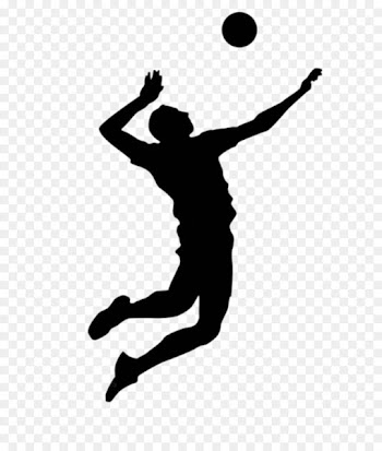 Asystel Volley Beach volleyball - volleyball 