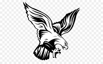 Atlanta Falcons Flambeau Junior High School Philadelphia Eagles Flambeau High School Chippewa Falls - atlanta falcons 