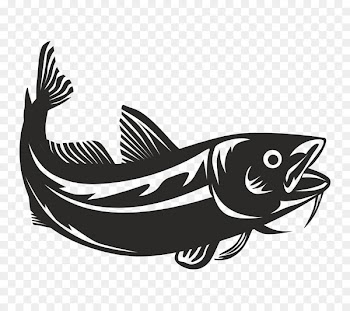 Atlantic cod Royalty-free Vector graphics Stock photography Illustration - fish 