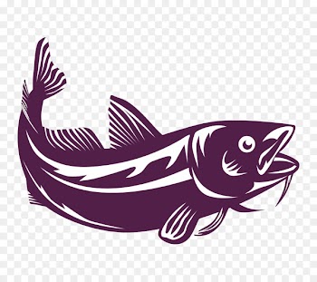 Atlantic cod Royalty-free Vector graphics Stock photography Illustration - fishery 