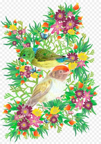 Atlantic Forest Serra do Mar Floral design Illustration Drawing - mata atlantica 