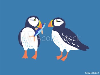 Atlantic puffins flat vector illustration