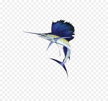 Atlantic sailfish Indo-Pacific sailfish Portraits from the Deep Animal Sailfish OS - L 