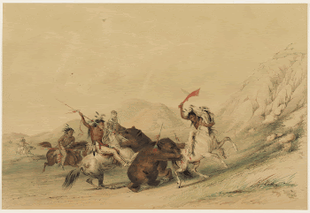 Attacking the Grizzly Bear. Original | Free Photo - rawpixel