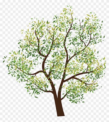 Attibution Is Required- In Order To Use A This Photo - Tree Clipart Png