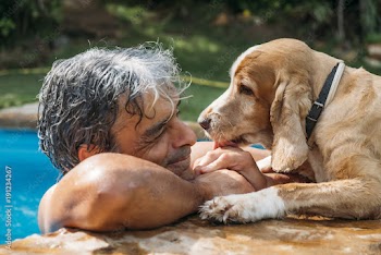 Attractive white hair man plays with his dog in pool.