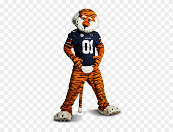 Auburn Football, College Football Teams, Auburn Tigers, - Auburn ...