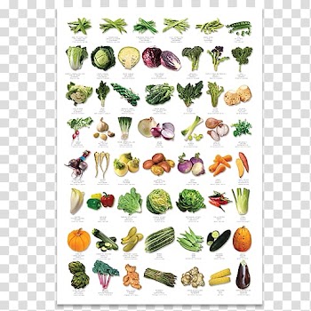 Auglis Fruit Vegetable English, vegetable transparent background PNG clipart