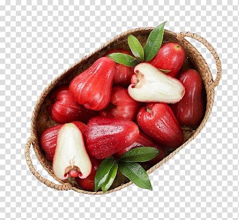 Auglis Java apple Fruit, wax apple transparent background PNG clipart