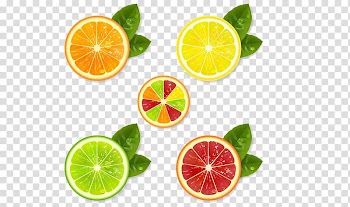 Auglis Lemon Flat design, Grapefruit leaf material transparent background PNG clipart