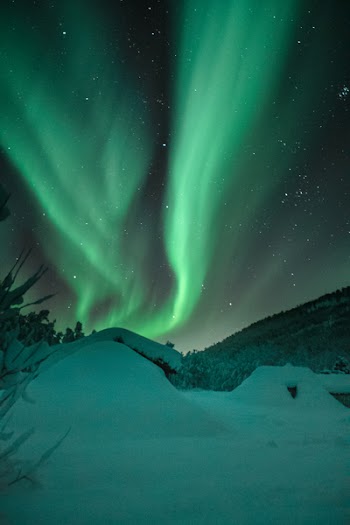 Aurora Borealis