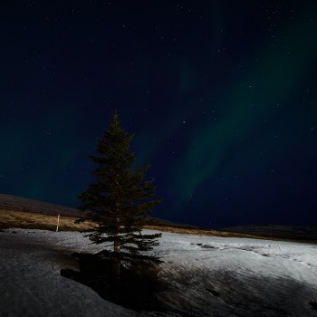Aurora borealis near Akureyri, northern Iceland