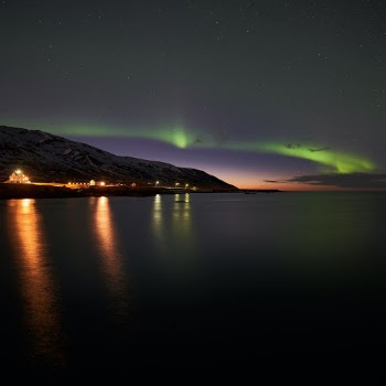 Aurora borealis (norhern lights) near Bakkagerdi, Borgarfjordur, Northeast Iceland