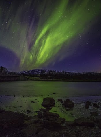 Aurora during Night