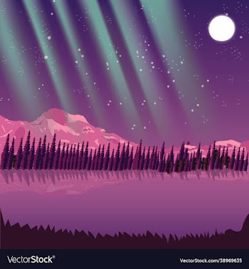 aurora night snow mountains forest trees lake