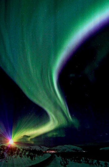 aurora_star.jpg