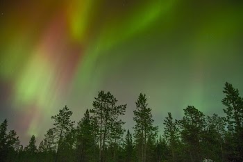 aurora view during night time