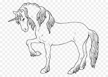 Ausmalbild Unicorn Legendary creature Pegasus Filly - unicorn 