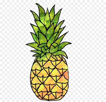 Austin Pineapple Photograph Instagram Clip art - pinapples symbol 