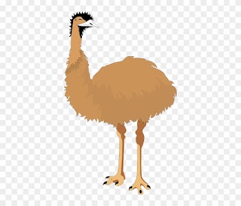 Australia, Bird, Wings, Nature, Animal, Flight, Emu - Emu Clipart