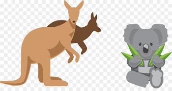 Australia Euclidean vector Icon design Icon - Australian Kangaroo Koala 