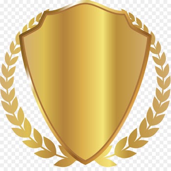 Australia Graduate University Academic degree Career Bachelors degree - Shining SHIELD BADGE 