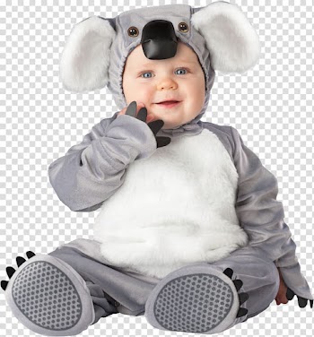 Australia Halloween costume Disguise Koala, koala transparent background PNG clipart