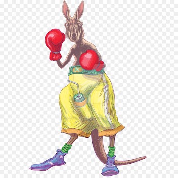 Australia Macropodidae Boxing kangaroo - Boxing Kangaroo 