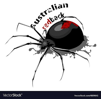 Australian redback vector image