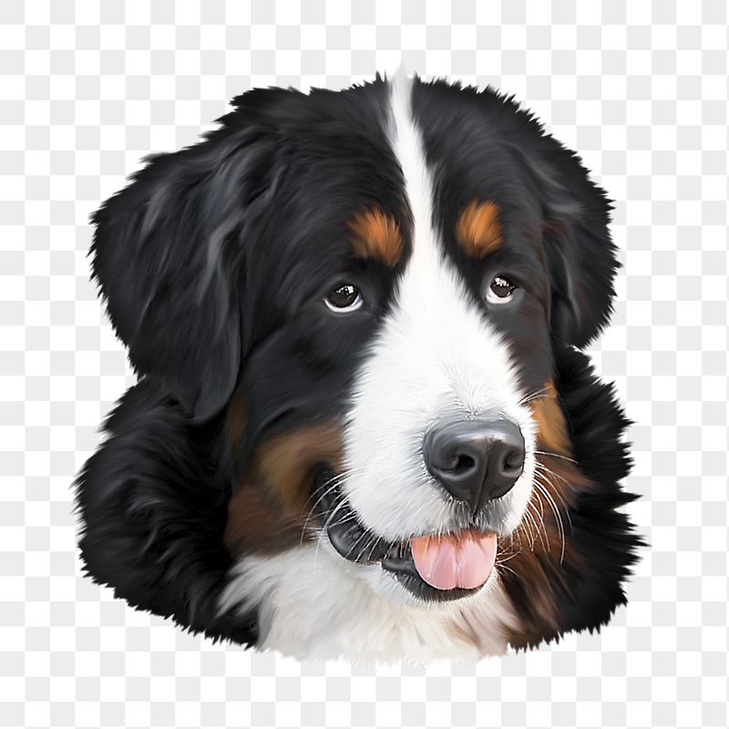 Australian Shepherd dog png sticker, | Free PNG - rawpixel